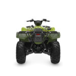 Grizzly 700 EPS - Image 3