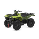 Grizzly 700 EPS - Image 5