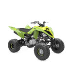 YFM700R SE - Image 7