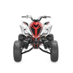 YFM700R 70th Anniversary Edition - Image 6