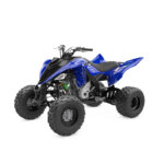 YFM700R SE - Image 6