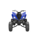 YFM700R SE - Image 3