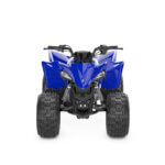 YFZ50 - Image 6
